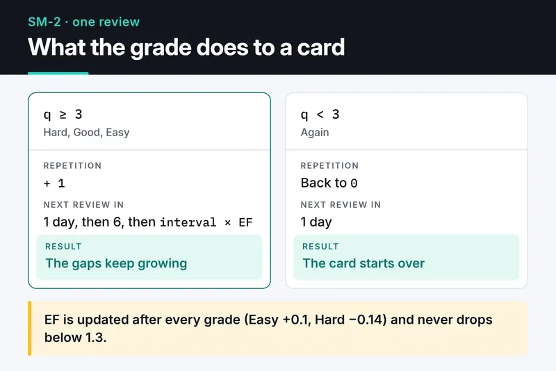 SM-2: a grade of 3 or more adds one to repetition and sets the next review to 1, 6, then interval times EF days; below 3 it resets to 1 day